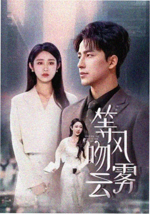 半城烟火都市情感剧免费观看