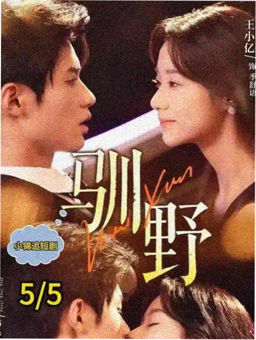 青川纪事年代剧高清在线观看